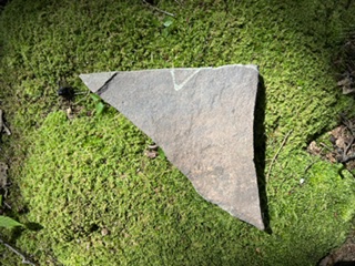 Garden 1